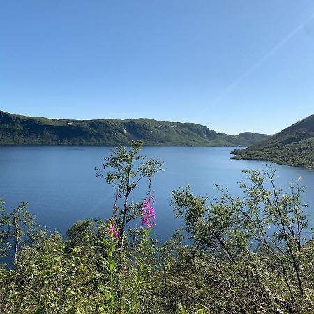 Hoyanger 3 Roms Leilighet Høyanger Exterior foto