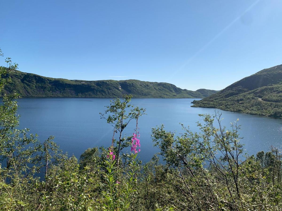 Hoyanger 3 Roms Leilighet Høyanger Exterior foto